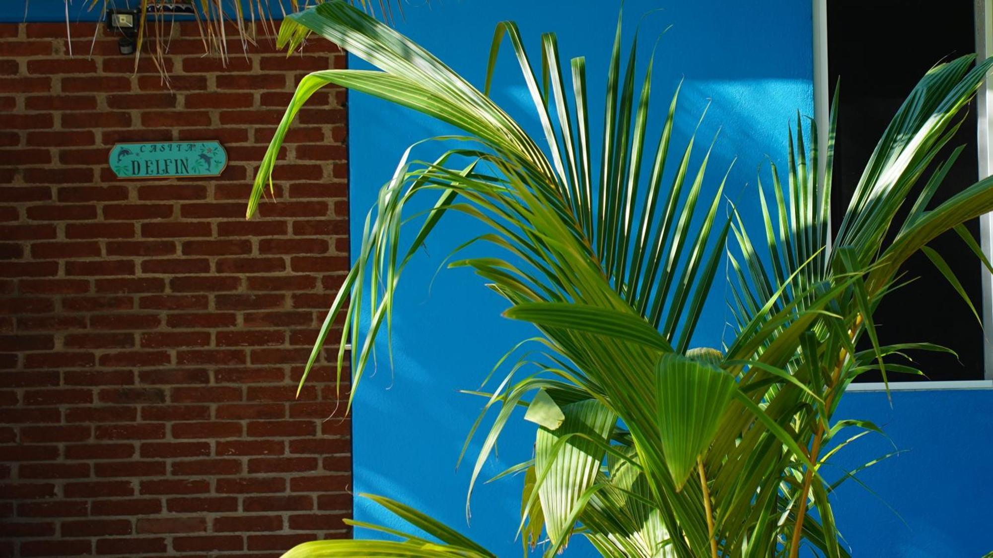 Ocean Oasis Hotel - Adult Only, Four Casitas Boutique Resort Agua Blanca Екстер'єр фото