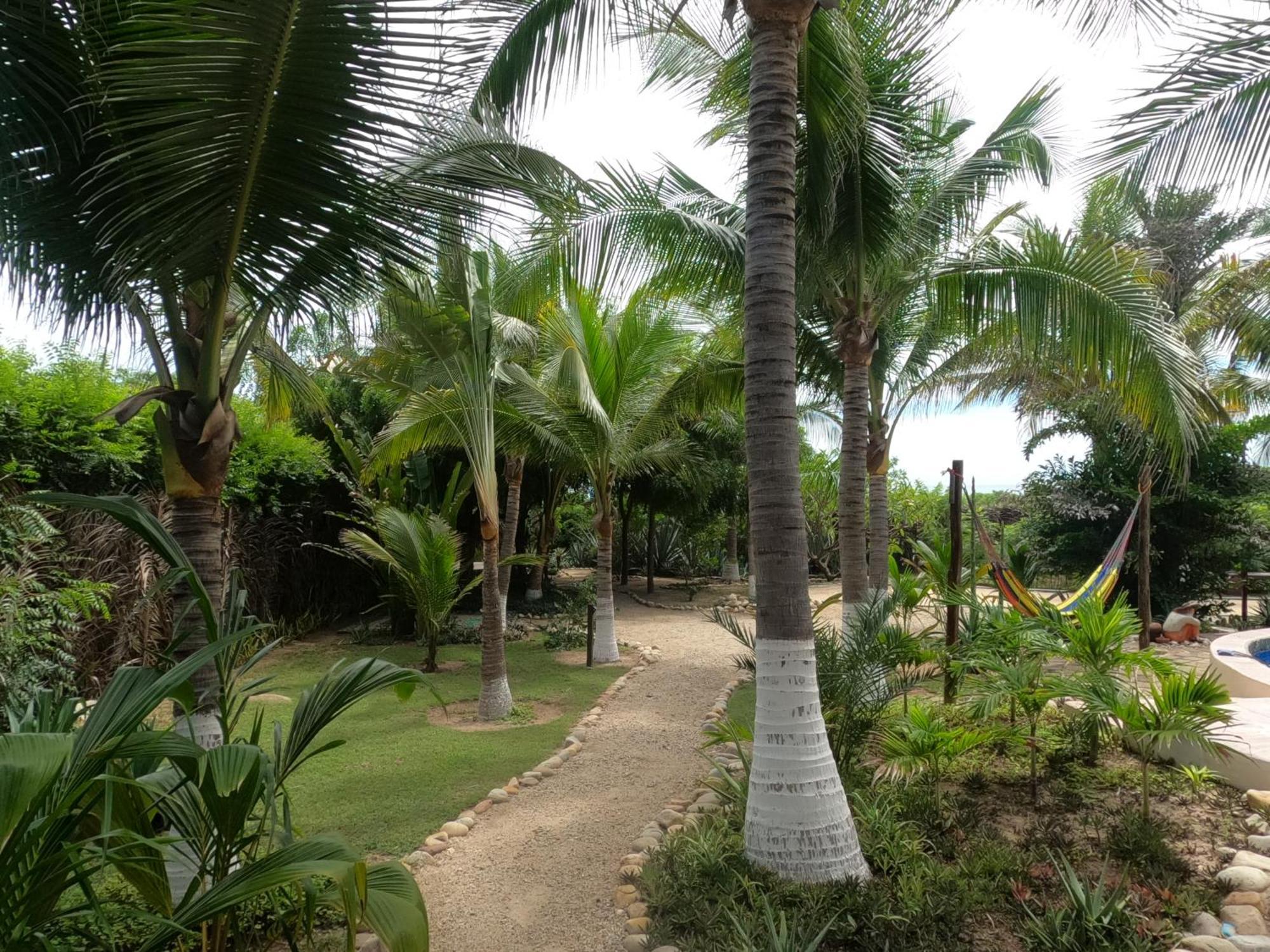 Ocean Oasis Hotel - Adult Only, Four Casitas Boutique Resort Agua Blanca Екстер'єр фото